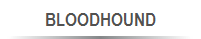 BLOODHOUND