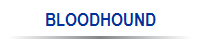 BLOODHOUND